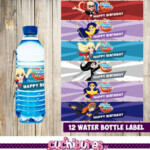 12 DC Super Hero Girls Water Bottle Label Instant Download
