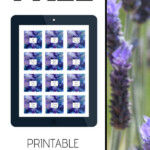 Free Essential Oil Printable Bottle Labels Free Essential Oils