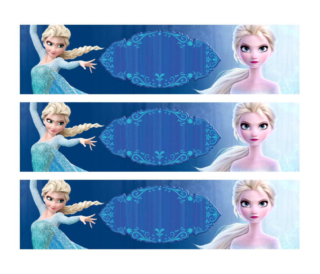 Frozen Melted Snow Water Bottle Labels