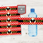 INSTANT DOWNLOAD Classic Mouse Happy 2nd Birthday Water Bottle Etsy
