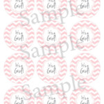 Printable Baby Shower Mason Jar Label PDF For Girl Chevron Etsy
