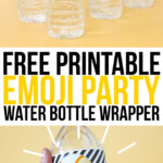 The Craft Patch Emoji Party Water Bottle Labels