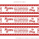 Valentine Water Bottle Labels Valentine Party Printables B Flickr