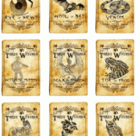 Witches Potion Bottles Halloween Bottle Potion Labels 3 Witches